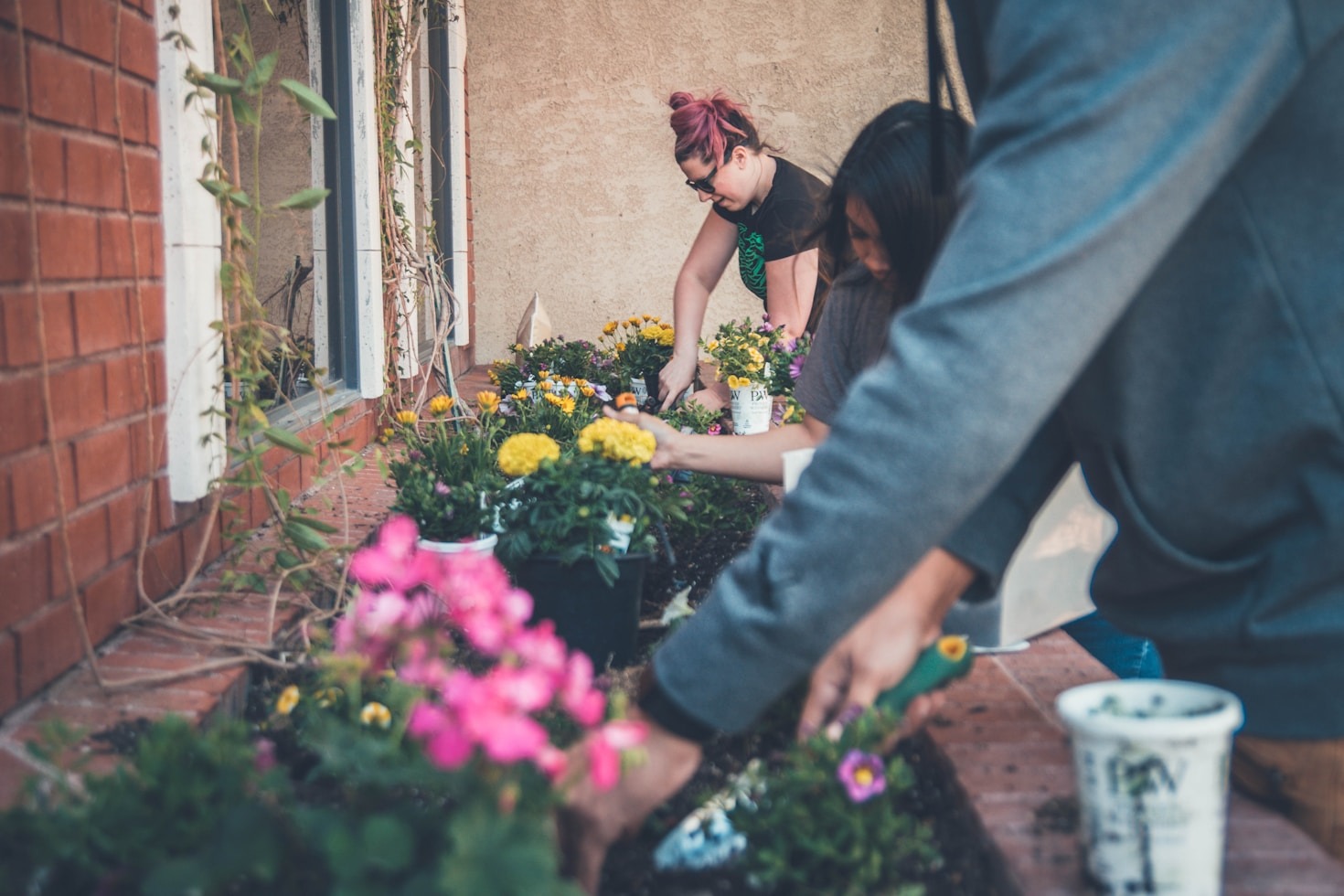 Volunteering with Purpose: Stories from the Field